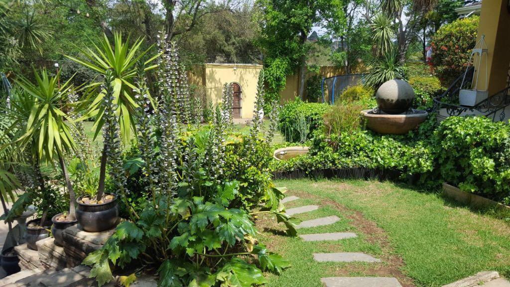 Villa Mikamora Johannesburg Exteriér fotografie